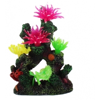 Грот "Коралловый риф"