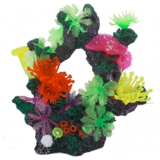 Грот "Коралловый риф"