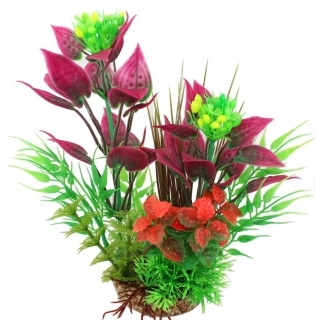 Аквариумное растение