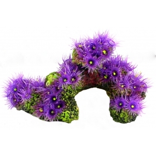 Грот с кораллами