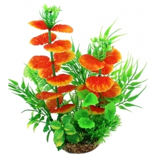 Аквариумное растение