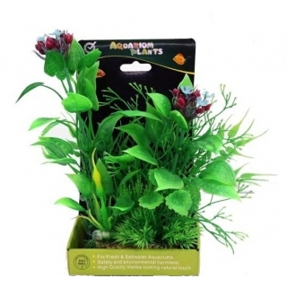Аквариумное растение