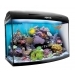 Морской аквариум Aquael ReefMax 105 (80)л