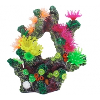 Грот "Коралловый риф"