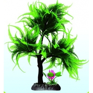 Дерево бонсай Дерево бонсай