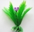 Апоногетон курчавый 10 см Апоногетон курчавый 10 см
