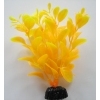 Людвигия ярко-желтая 10 см