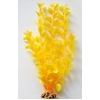Людвигия ярко-желтая 30 см