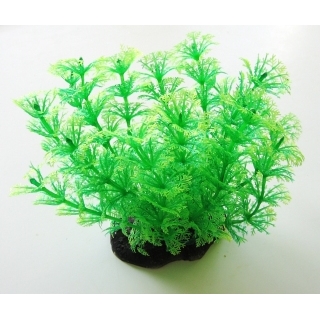 Аквариумное растение 15см