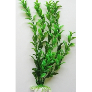 Гигрофила 30см