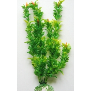 Гигрофила 30см