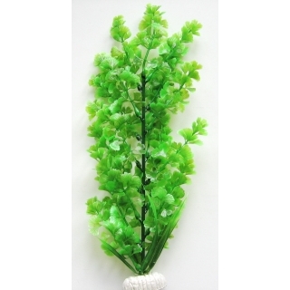 Немофила 30 см