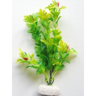 Гигрофила 20 см