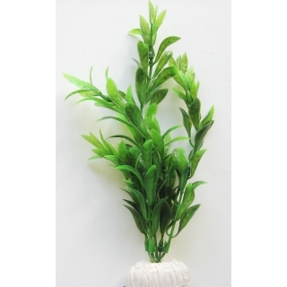 Немофила 20 см