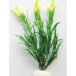 Гигрофила иволистная жёлто-зелёная 20 см