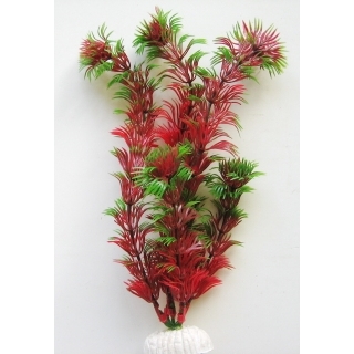 Кабомба красная 20 см