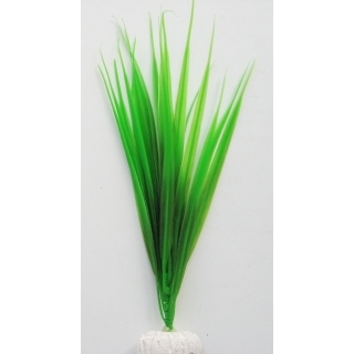 Стрелолист 20 см