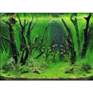 Фон для аквариума двусторонний, высота 30 см