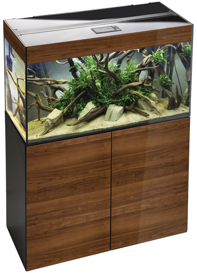 Аквариум с тумбой Aquael GLOSSY WALNUT SET 80