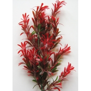 Аквариумное растение 20 см