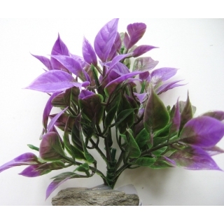 Аквариумное растение 10см