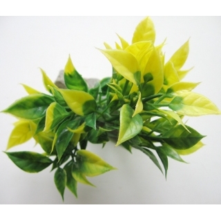 Аквариумное растение 10см