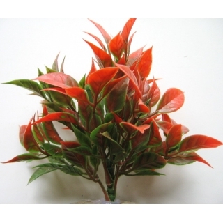 Аквариумное растение 10см