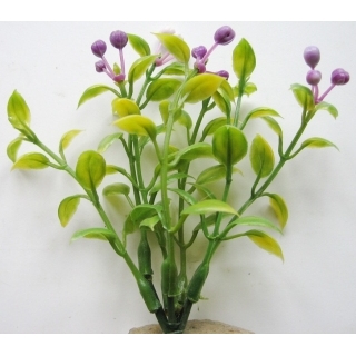 Аквариумное растение 10см