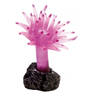 Силиконовый коралл