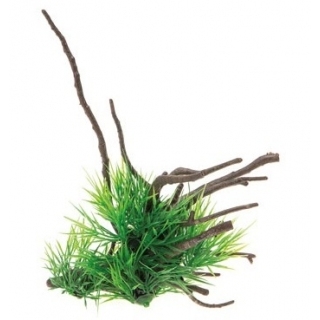 Растение на корне Aquael 241216 см Растение на корне Aquael 241216 см