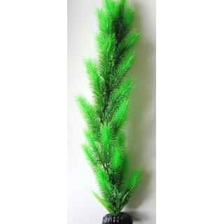 Перестолистник зеленый 50 см
