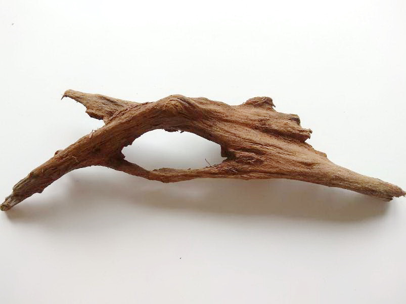 Коряга мангровая
