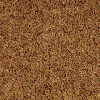 TetraPro Colour на развес, 100 гр