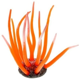 Силиконовый коралл