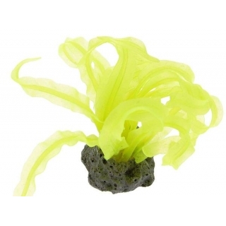 Силиконовый коралл