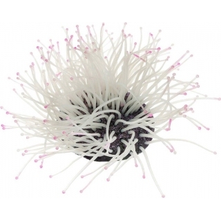 Силиконовый коралл