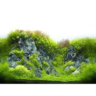 Фон для аквариума двусторонний, высота 60 см