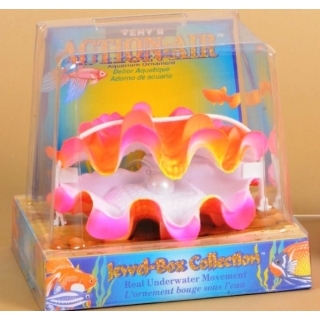 Раковина с жемчужиной