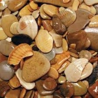 Barbus Галька КАСПИЙ 2-20 мм (3,5кг)