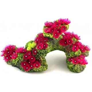 Грот с кораллами