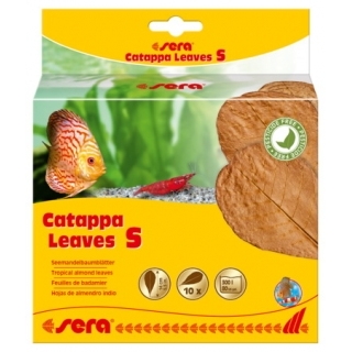 SERA Catappa Leaves S Листья индийского миндаля
