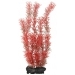 Tetra DecoArt Plant M Red Foxtail- Перистолистник 23 см 