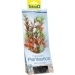 Tetra DecoArt Plant M Red Ludwigia- Людвигия 23 см